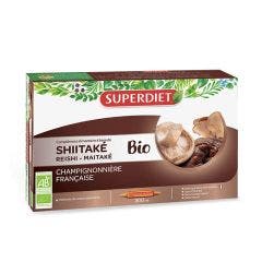 Shiitake Bio 20 Ampoules Superdiet