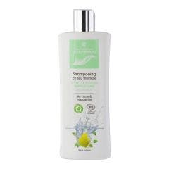 Shampooing A L'eau Thermale Anti-pelliculaire 250ml Montbrun