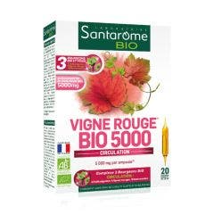 Vigne Rouge 20 Ampoules Bio 200ml Santarome
