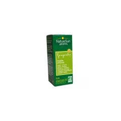 Gingembre Huile Essentielle 10ml Naturesun Aroms