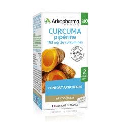 Curcuma Piperine Bio 40 Gelules Arkogélules Arkopharma