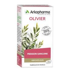 Olivier 45 Gelules Arkogélules Arkopharma