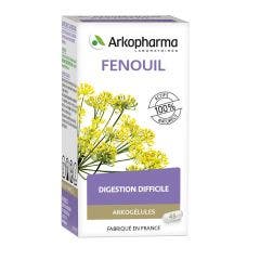 Fenouil 45 Gelules Arkogélules Arkopharma