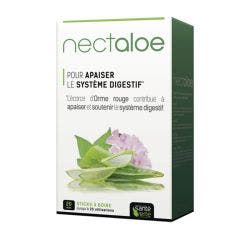 STICKS X20 NECTALOE SANTE VERTE