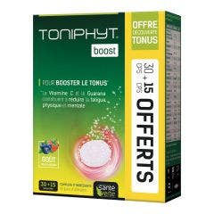Boost Gout Fruits Rouges 30+15 Comprimes Toniphyt Sante Verte