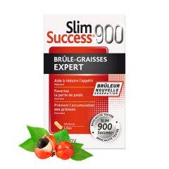 BRULE GRAISSES 120 GELULES SLIM SUCCESS 900 NUTREOV