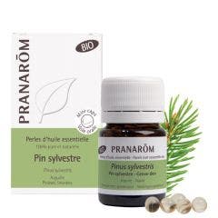 Pin Sylvestre Bio 60 Perles Les Huiles Essentielles Pranarôm
