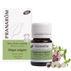 Origan Vulgaire Bio 60 Perles Les Huiles Essentielles Les Huiles Essentielles Pranarôm