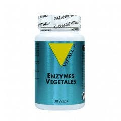 Enzymes Vegetales 30 Gélules Vit'All+