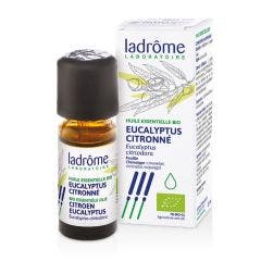 Huile Essentielle D'eucalytpus Citronne Bio 10ml Ladrôme
