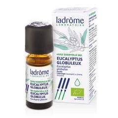 Huile Essentielle D'eucalyptus Globuleux Bio 10ml Ladrôme