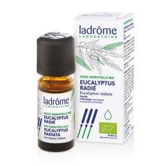 Huile Essentielle D'eucalyptus Radie 10ml Ladrôme