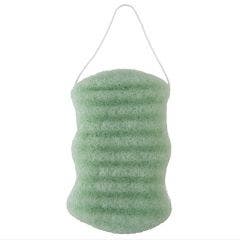 Eponge Merveilleuse Konjac Corps Aloe Vera Lady Green