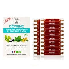 Déprime Fleurs de Bach Bio 20 Ampoules de 10ml Elixirs & Co
