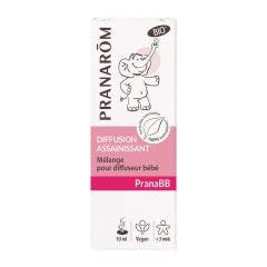 Diffusion Assainissant Bio 10 ml Pranabb Melange Pour Diffuseur Pranarôm