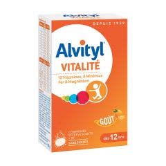 Vitalite 30 Comprimes Effervescents Alvityl