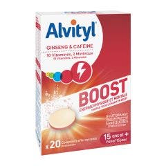 Boost 20 Comprimes Effervescents Alvityl