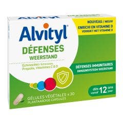 Defenses 30 Comprimes Alvityl