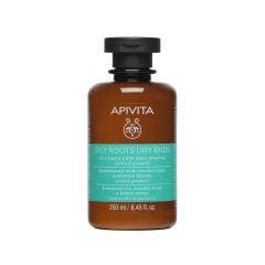 Shampoing Racines Grasses et Pointes Sèches 250ml Apivita