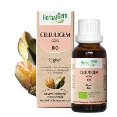Celluligem Ligne Bio 30ml Complexes De Gemmotherapie Herbalgem