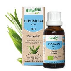 Depuragem Bio Dépuratif 30ml Complexes De Gemmotherapie Herbalgem