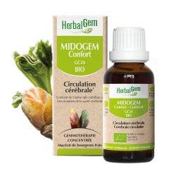 Midogem Confort Bio Circulation Cerebrale 30ml Complexes De Gemmotherapie Herbalgem