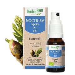 Noctigem Spray Gc11 Bio 15ml Complexes De Gemmotherapie Herbalgem