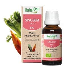 Sinugem Bio Voies Respiratoires 30ml Complexes De Gemmotherapie Herbalgem