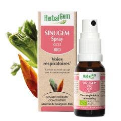 Sinugem Bio Spray Voies Respiratoires 15ml Complexes De Gemmotherapie Herbalgem