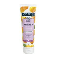 Apres Shampooing Nutrition Intense Bio 250ml Cheveux secs et abimes Coslys