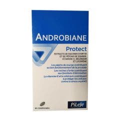 Androbiane Protect 60 Comprimés Pileje