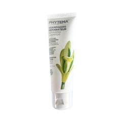 Shampooing reparateur bio 50ml Phytema