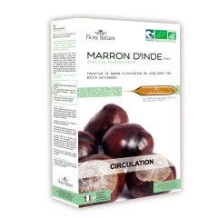Marron d'inde Bio 20 ampoules Circulation Flora Natura