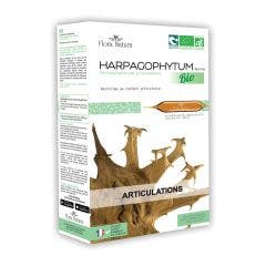 Harpagophytum Bio 20 ampoules Articulations Flora Natura