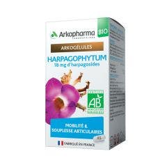 Harpagophytum Bio 45 gélules Arkogélules Mobiité et souplesse articulaires Arkopharma