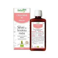 Seve De Bouleau Fraiche Bio Celluseve Minceur 250ml Herbalgem
