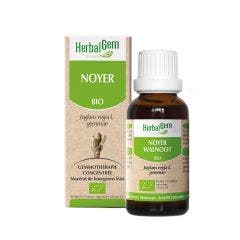 Noyer Bio 30ml Herbalgem
