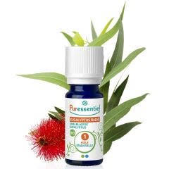 Eucalyptus Radié BIO 30ml Huiles Essentielles Puressentiel