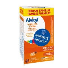Vitalite 90 Comprimes Gout Smaak Alvityl