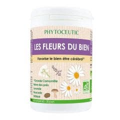 Les fleurs du bien Bio 60 comprimés Phytoceutic