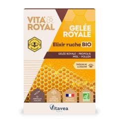 Gelée Royale Elixir Ruche Bio 10 ampoules Vita'Royal Vitavea Santé