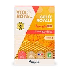 Gelee Royale Energie Bio 10 ampoules Vita'Royal Vitavea Santé
