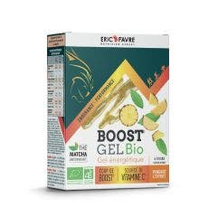 Boost Gel Bio - Ananas x6 Eric Favre