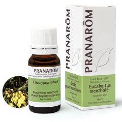 Eucalyptus Menthole 10ml Les Huiles Essentielles Pranarôm