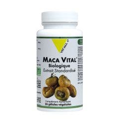 Maca Vital Extrait Standardise Bio 30 Gelules Vit'All+