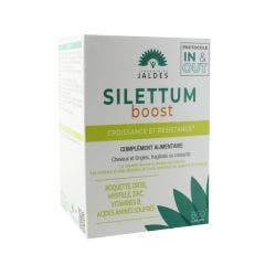 Boost 60 comprimés Silettum Jaldes