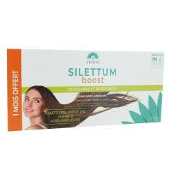 Boost 3x60 comprimés Silettum Jaldes