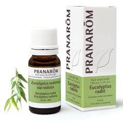 Huile Essentielle Eucalyptus Radie 10ml Les Huiles Essentielles Pranarôm