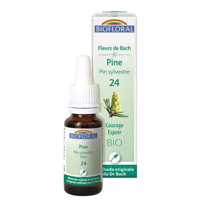 N°24 Pin Sylvestre Bio Demeter Fleurs De Bach Courage Espoir 25ml Biofloral