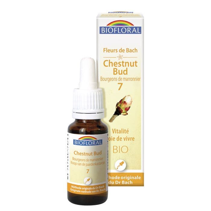 N°7 Bourgeon De Marronnier Bio Demeter Fleurs De Bach Vitalite Joie De Vivre 25ml Biofloral